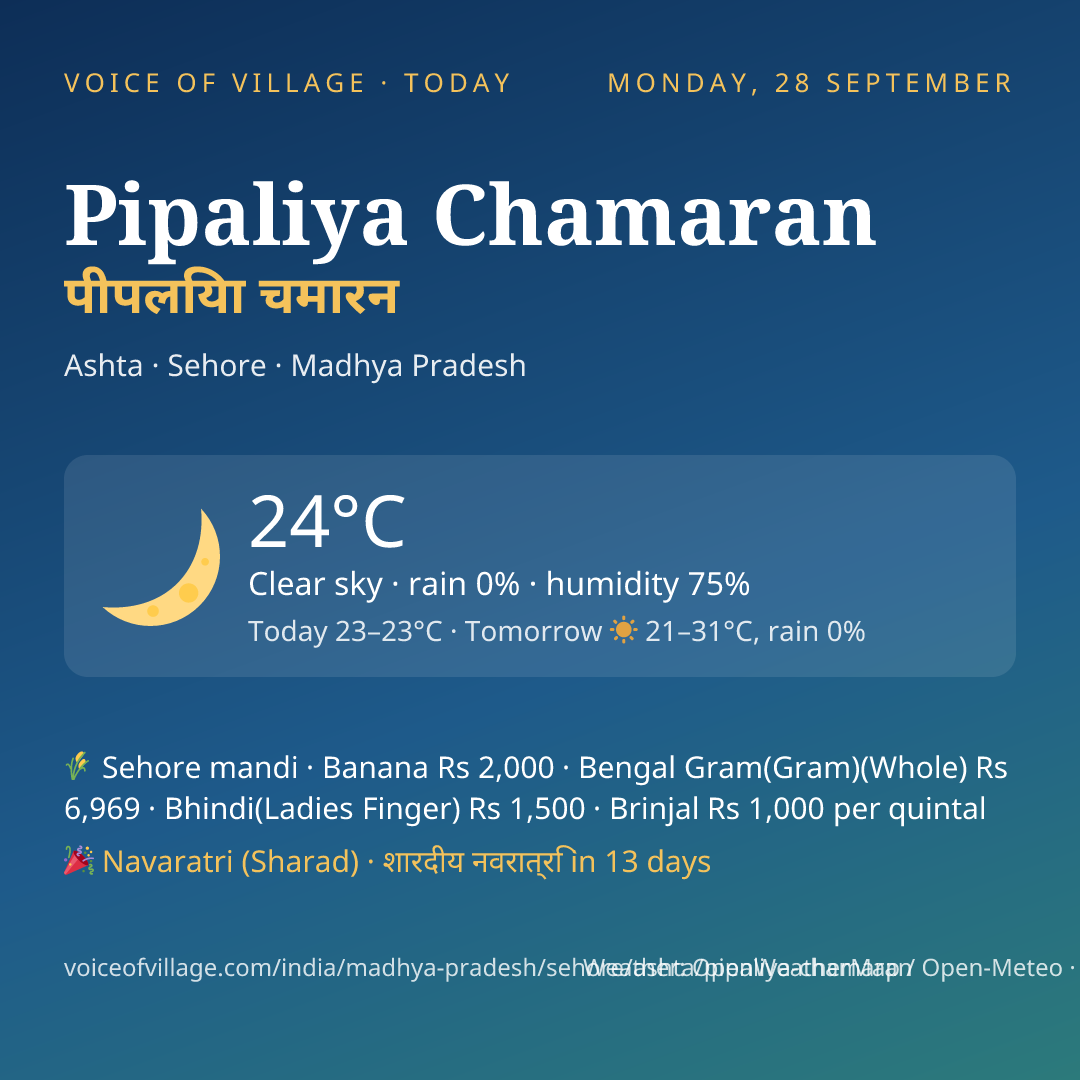 Pipaliya Chamaran today