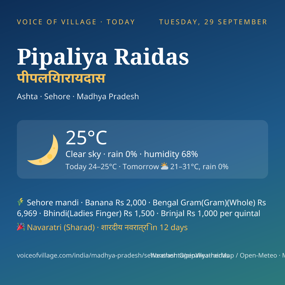 Pipaliya Raidas today