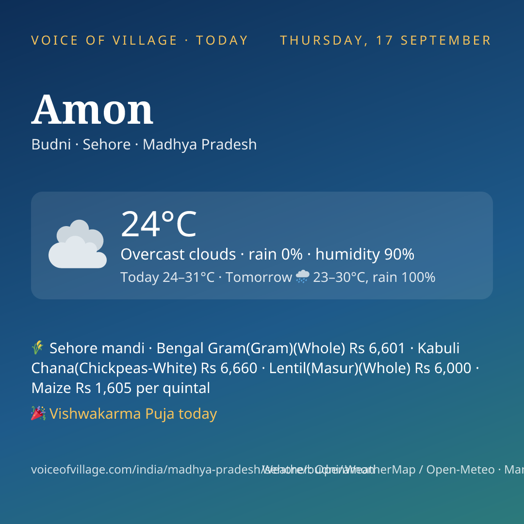 Amon today