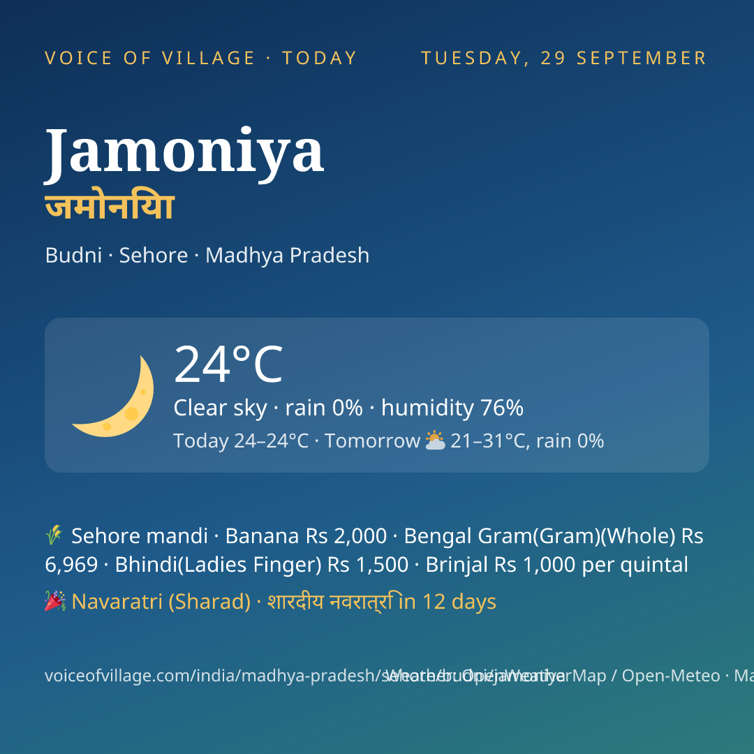 Jamoniya today