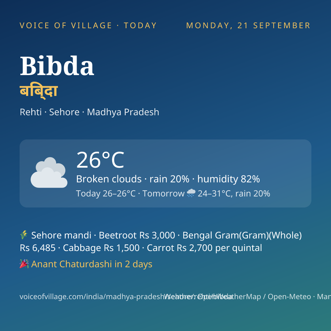 Bibda today