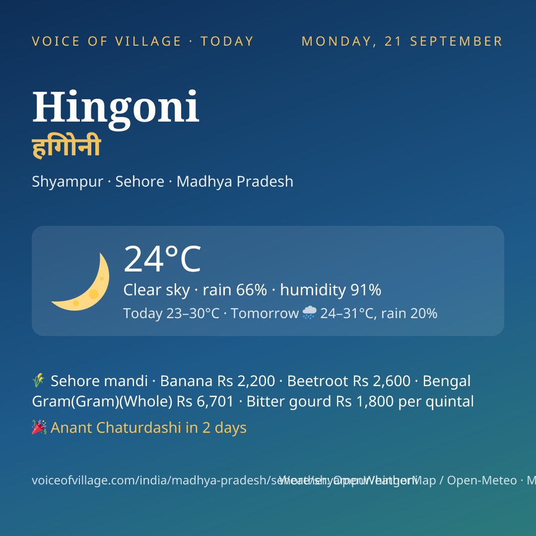 Hingoni today
