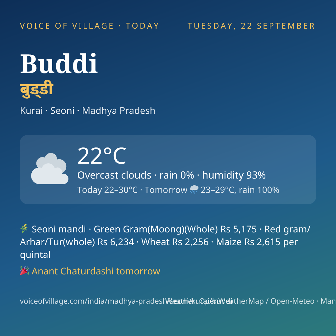 Buddi today