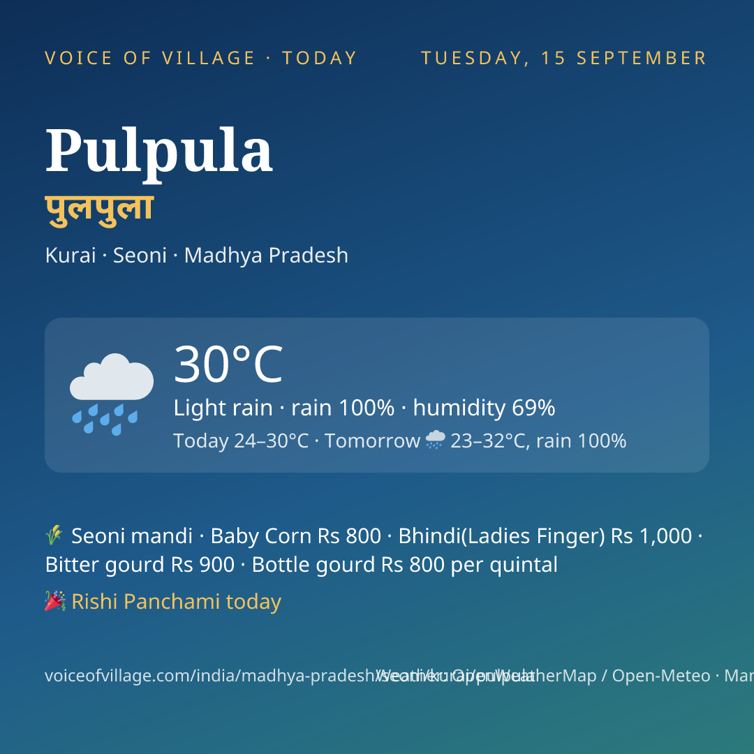 Pulpula today