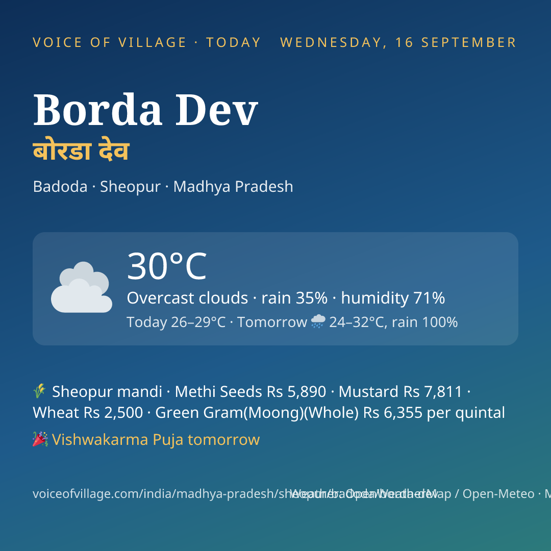 Borda Dev today