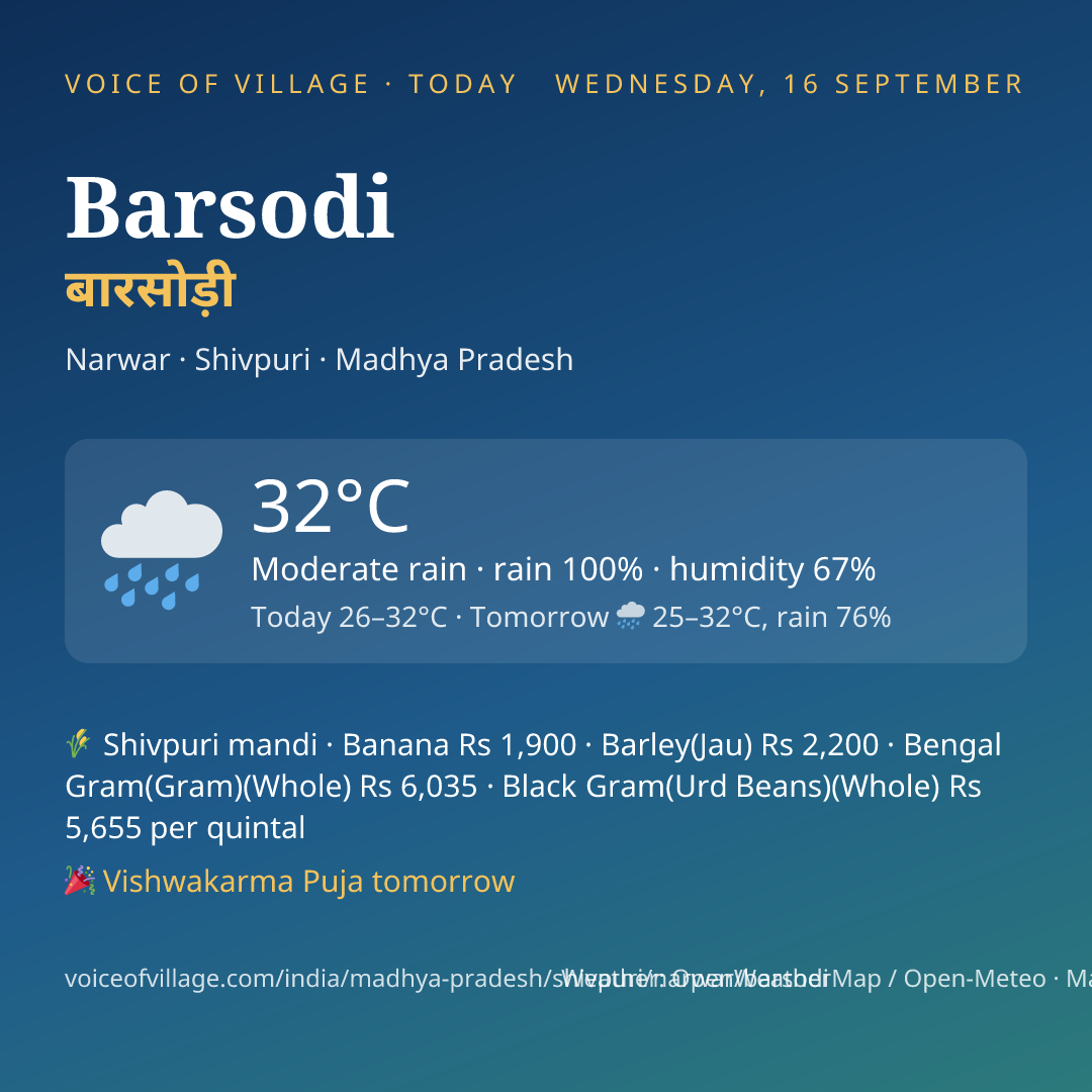Barsodi today