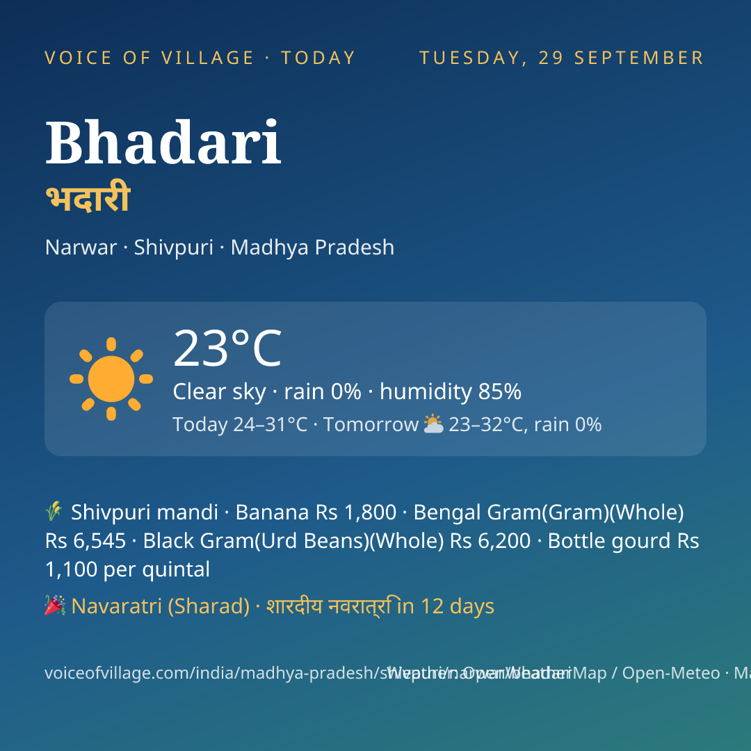 Bhadari today