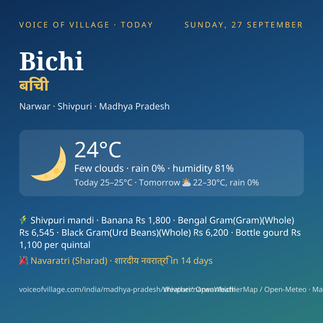 Bichi today