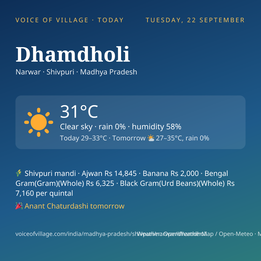 Dhamdholi today