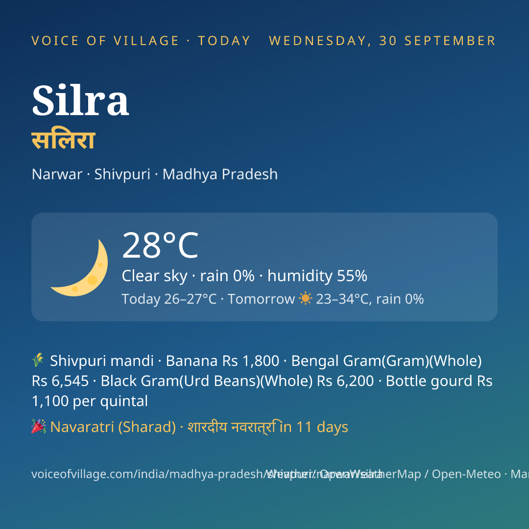 Silra today