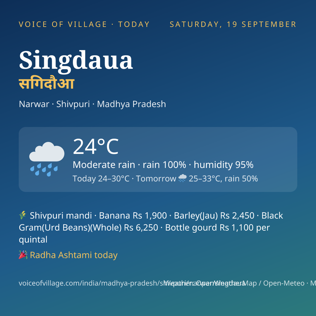 Singdaua today