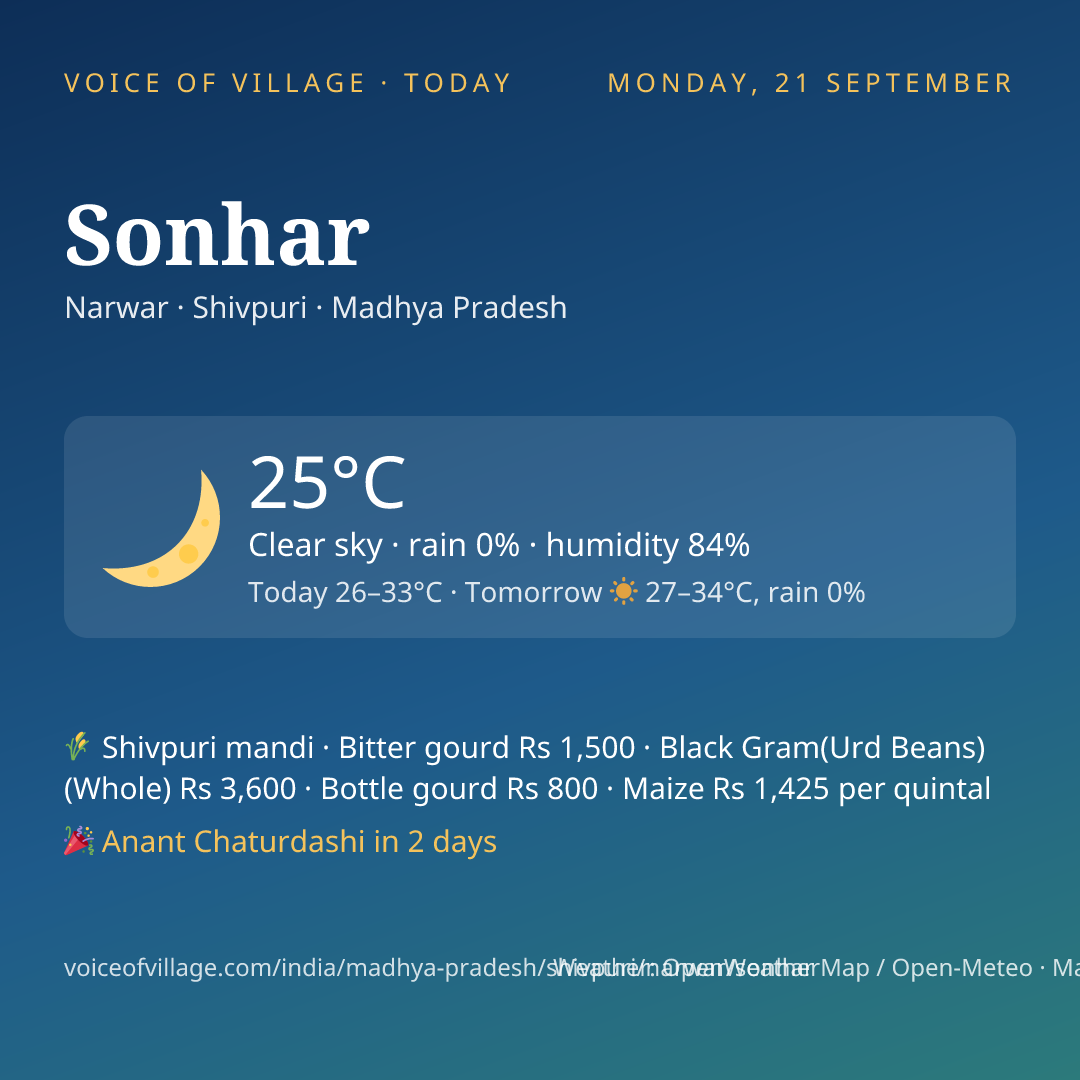 Sonhar today