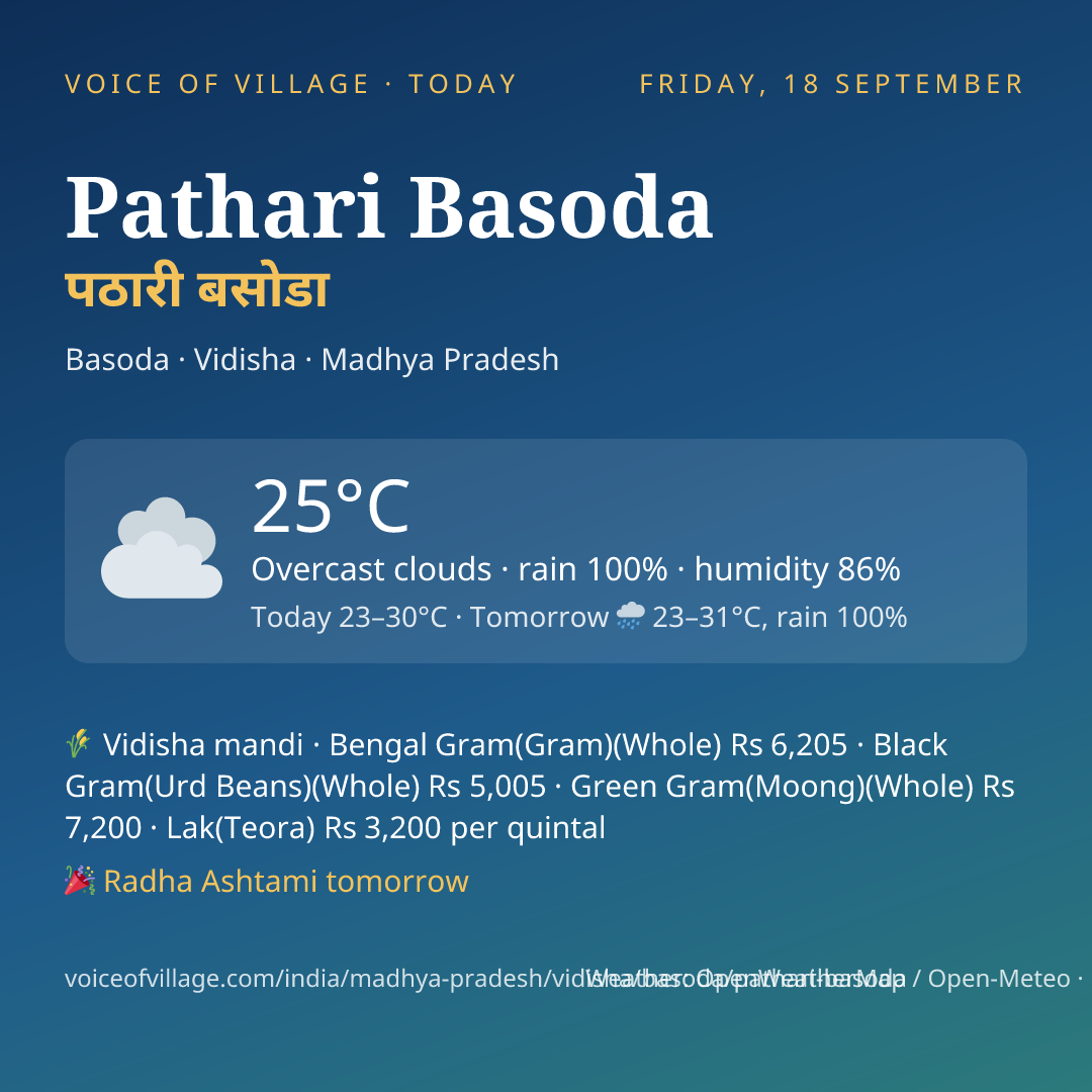 Pathari Basoda today
