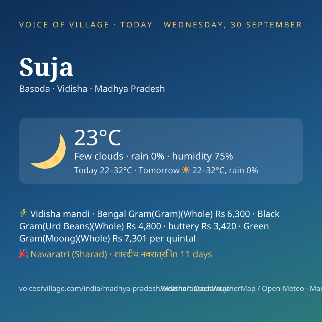 Suja today