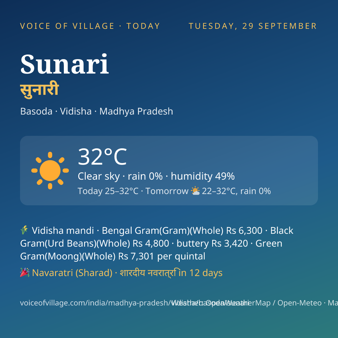 Sunari today