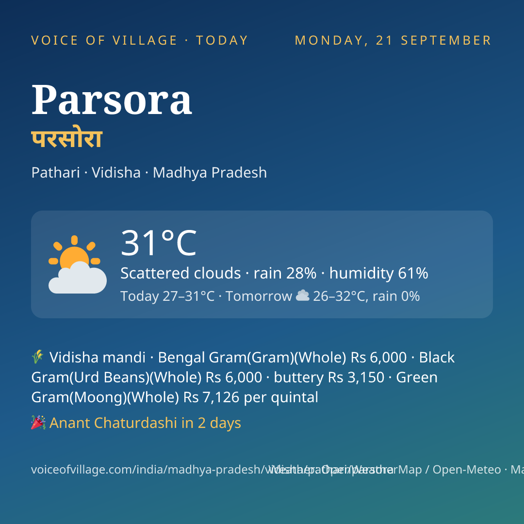 Parsora today