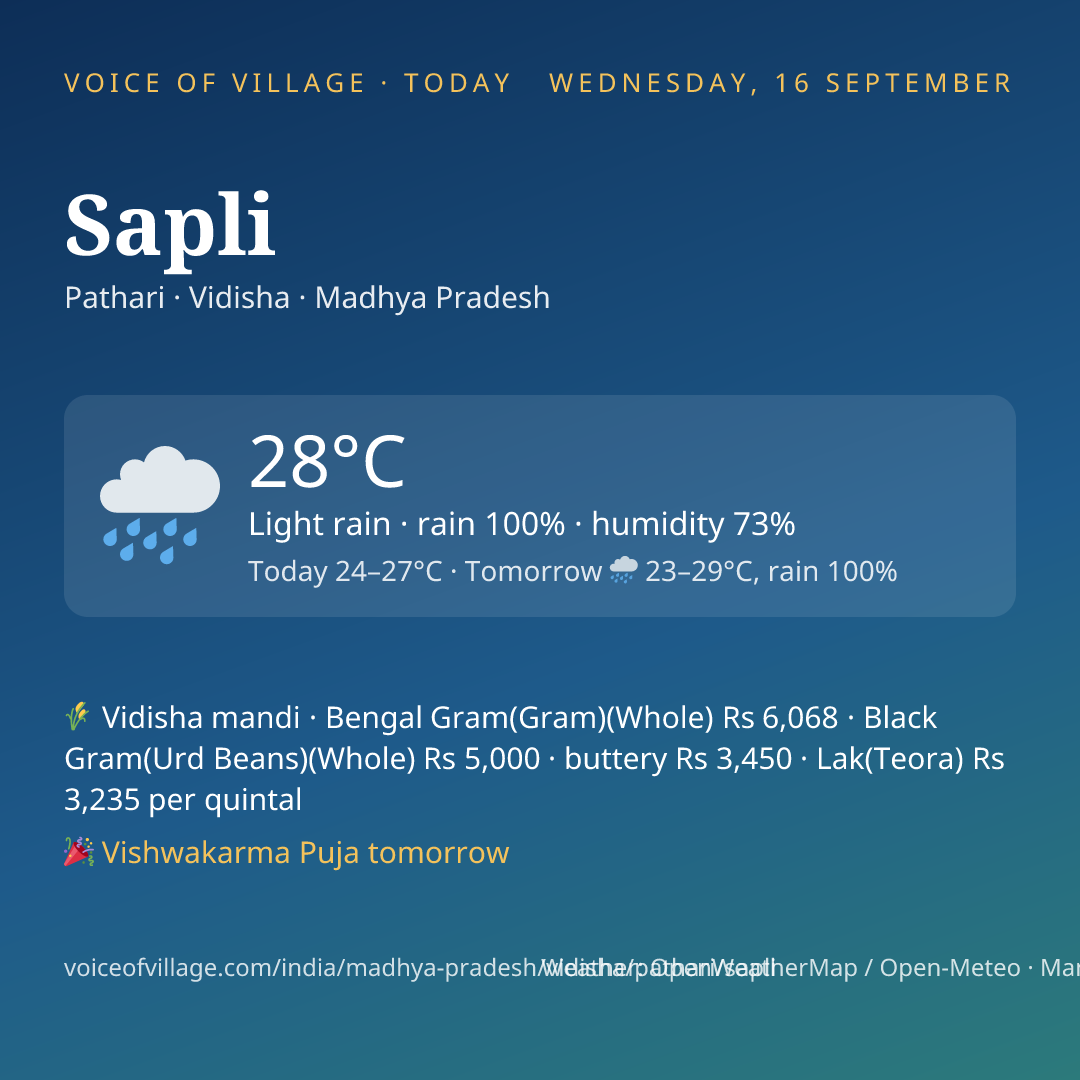 Sapli today