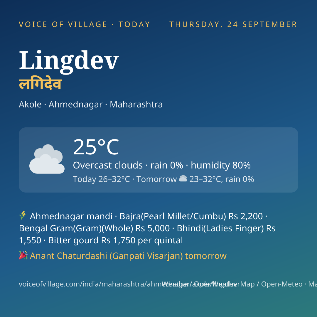 Lingdev today