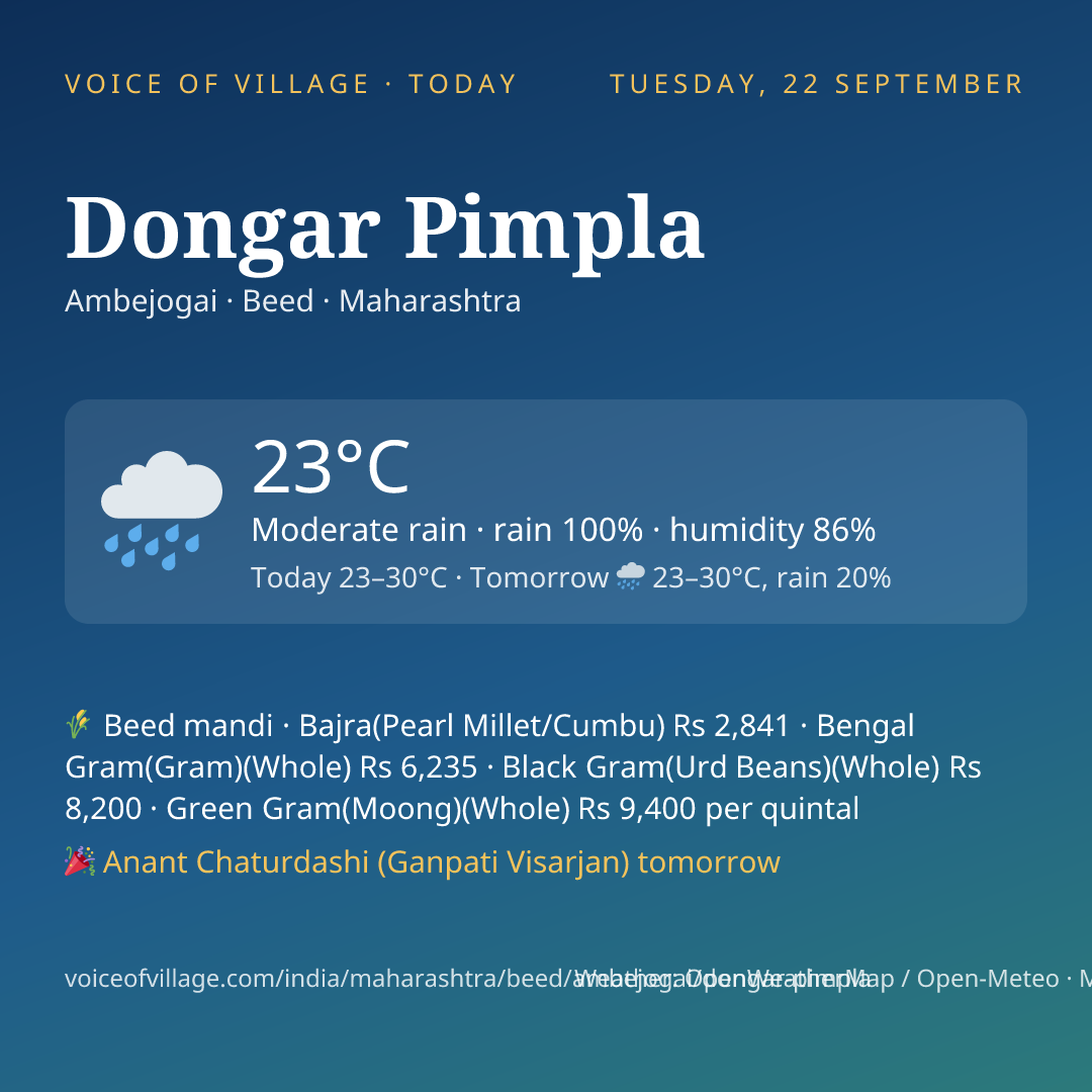 Dongar Pimpla today