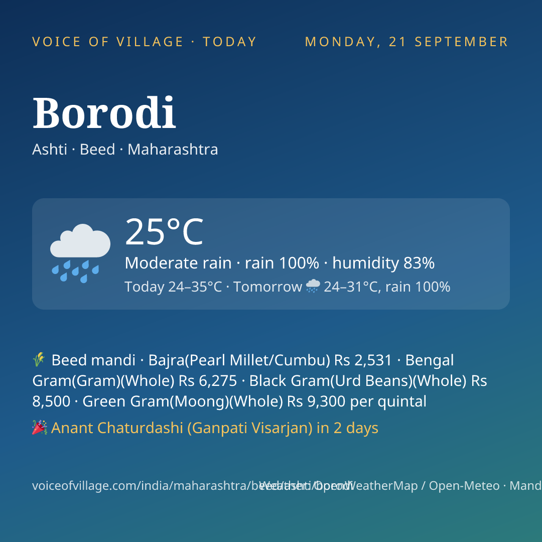 Borodi today