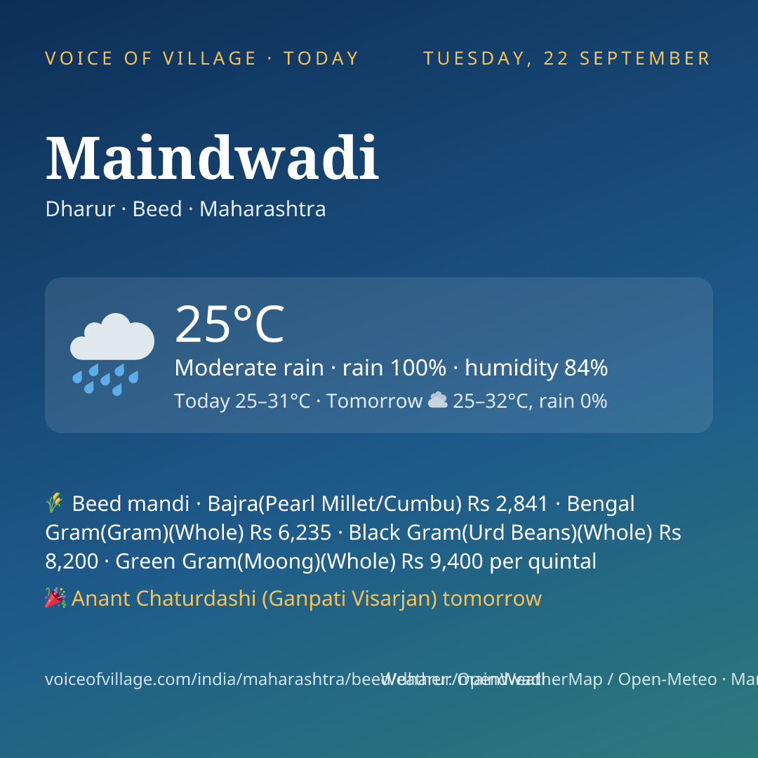 Maindwadi today