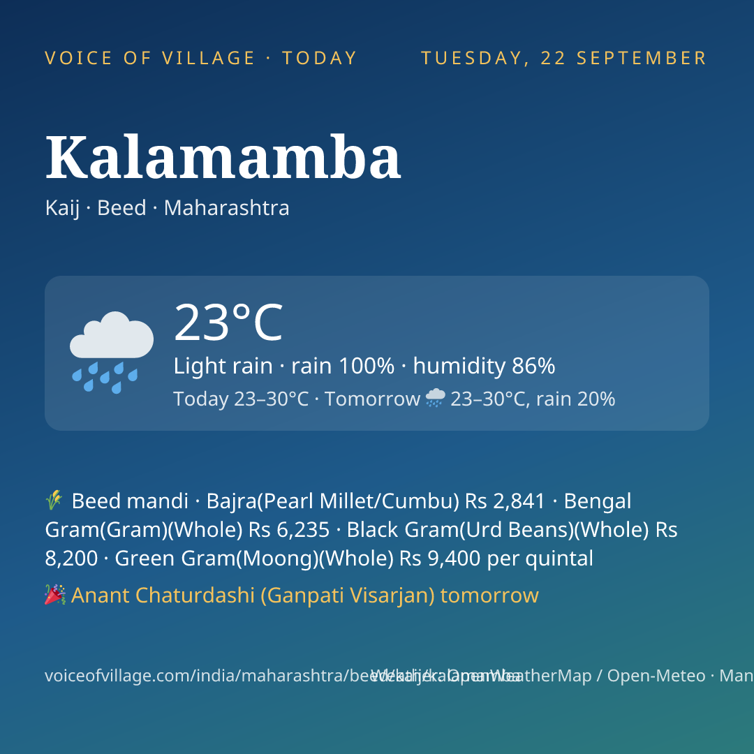 Kalamamba today