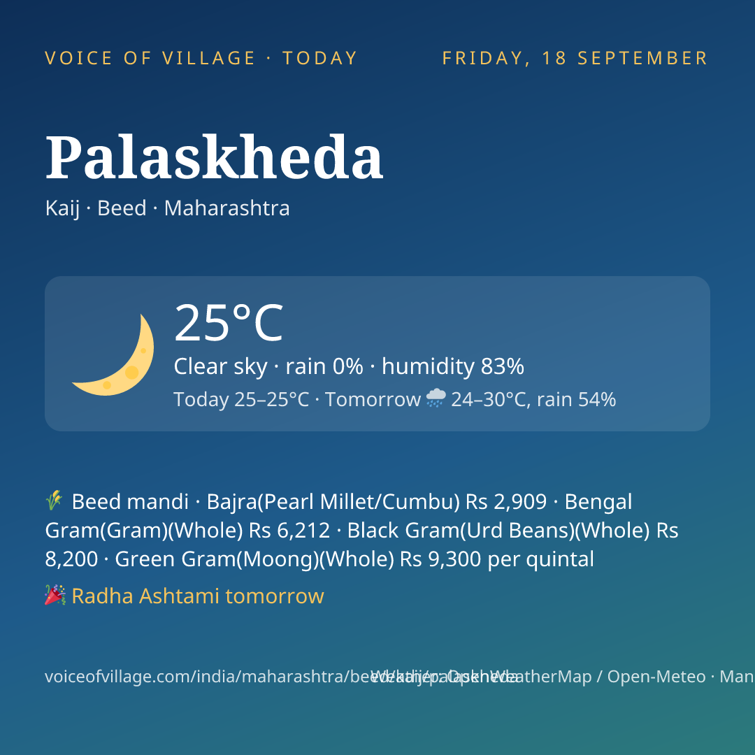 Palaskheda today