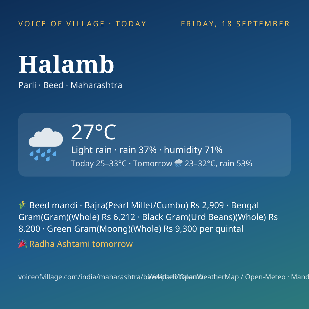 Halamb today