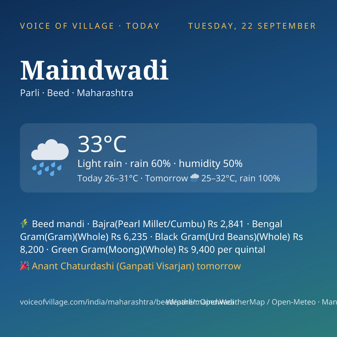 Maindwadi today
