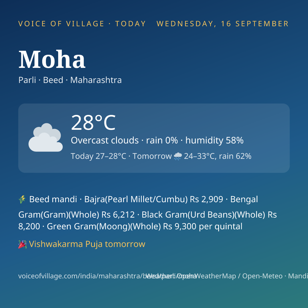 Moha today