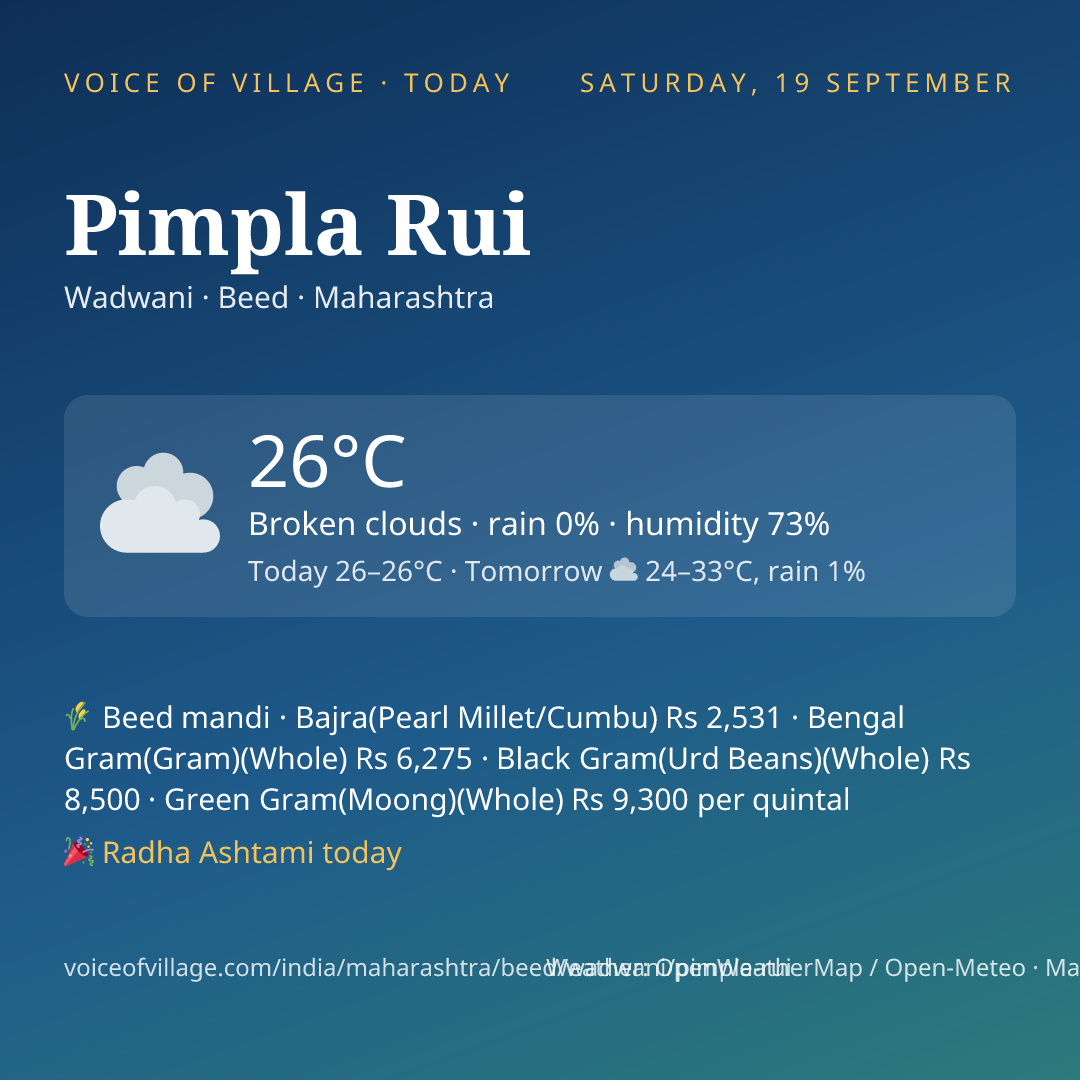 Pimpla Rui today