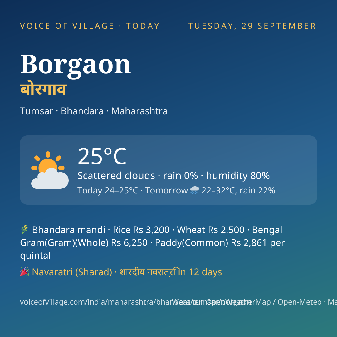 Borgaon today