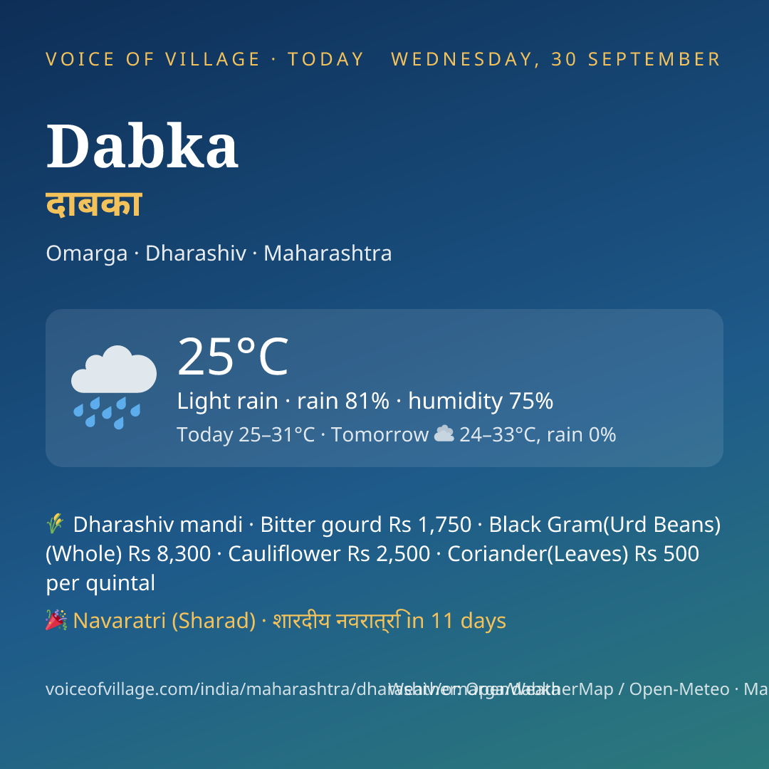 Dabka today
