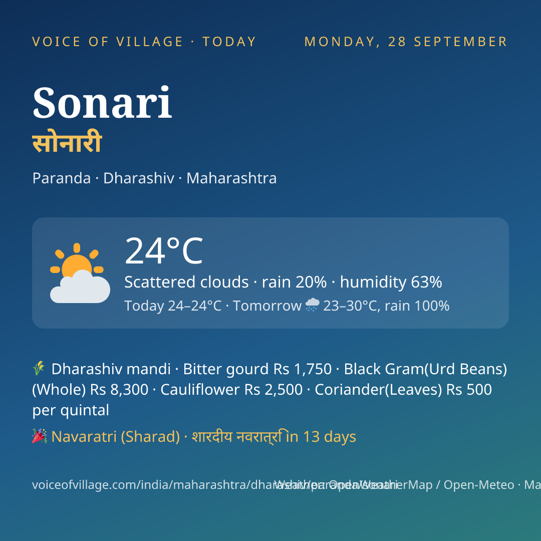 Sonari today