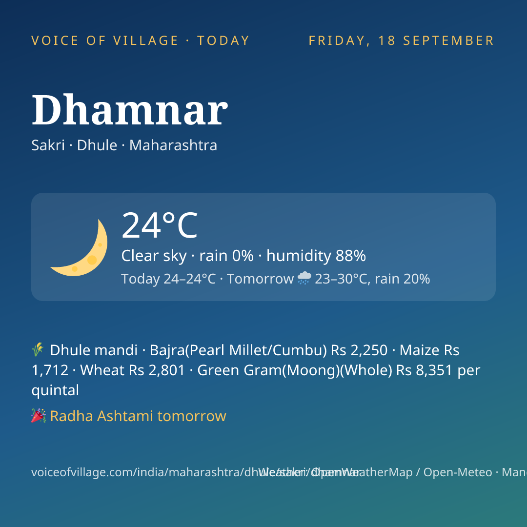 Dhamnar today