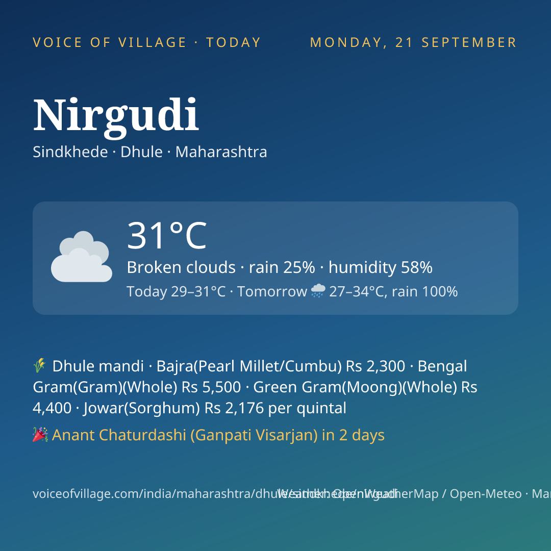 Nirgudi today