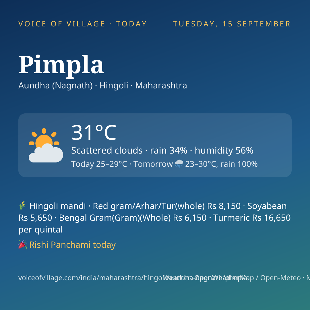 Pimpla today