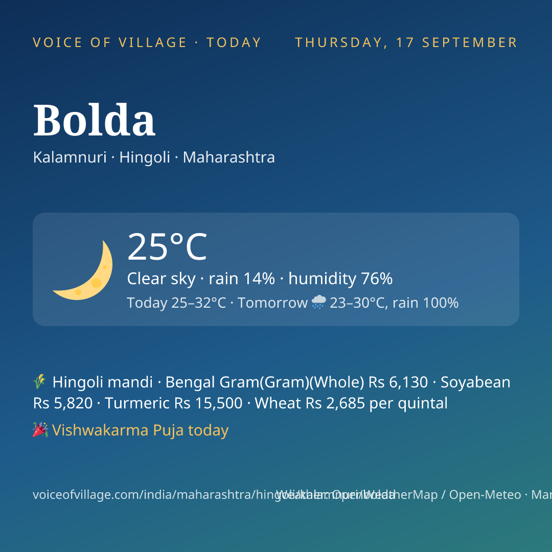 Bolda today