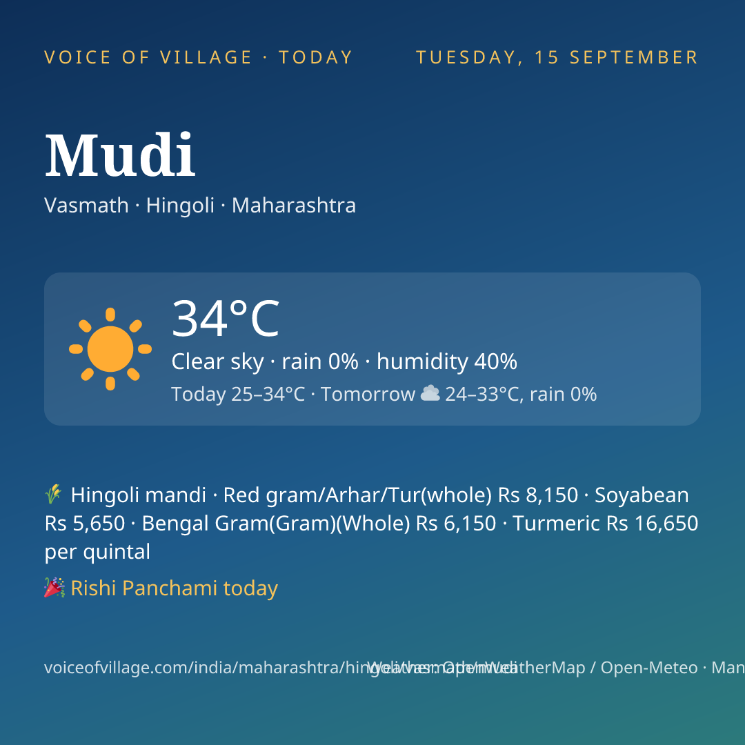 Mudi today