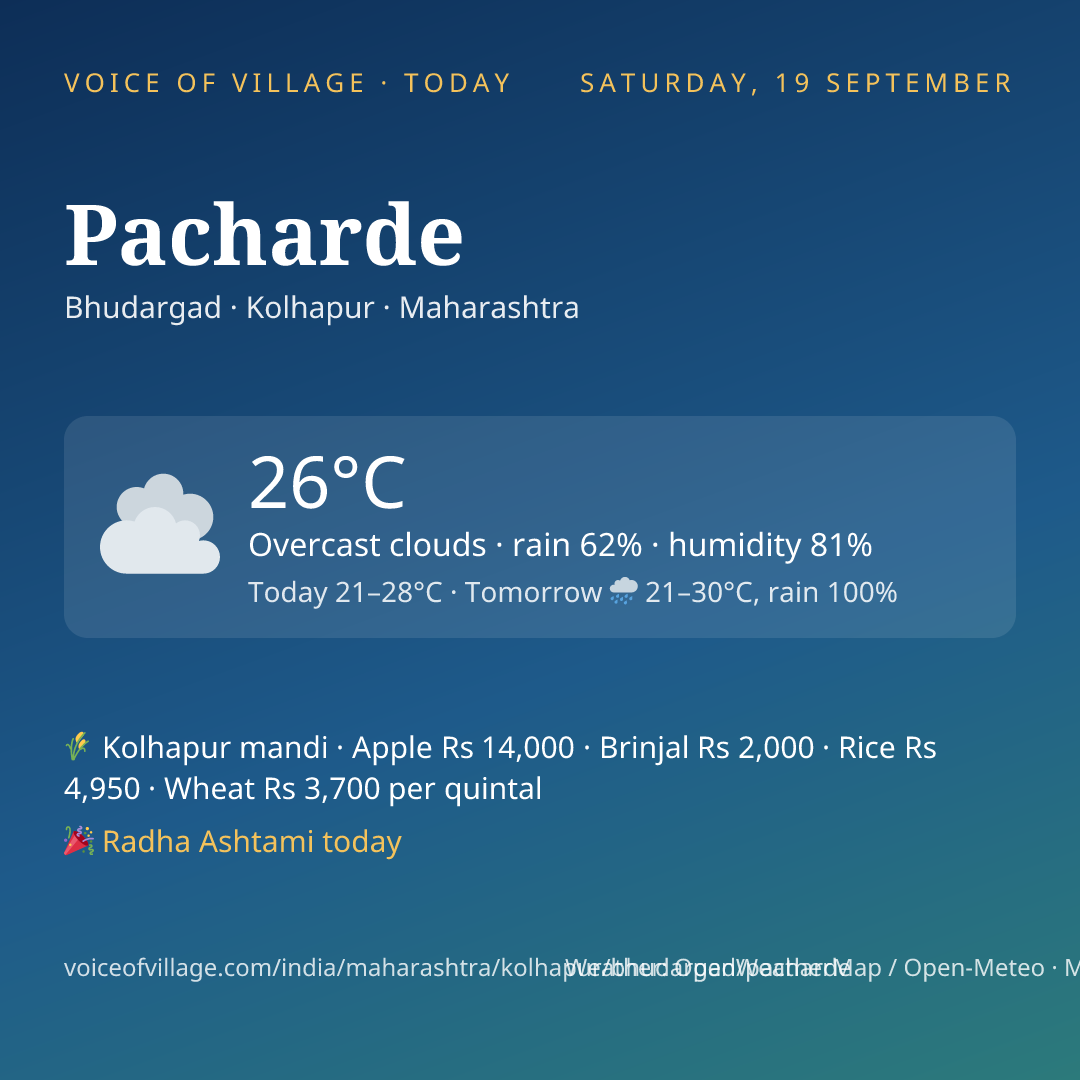 Pacharde today