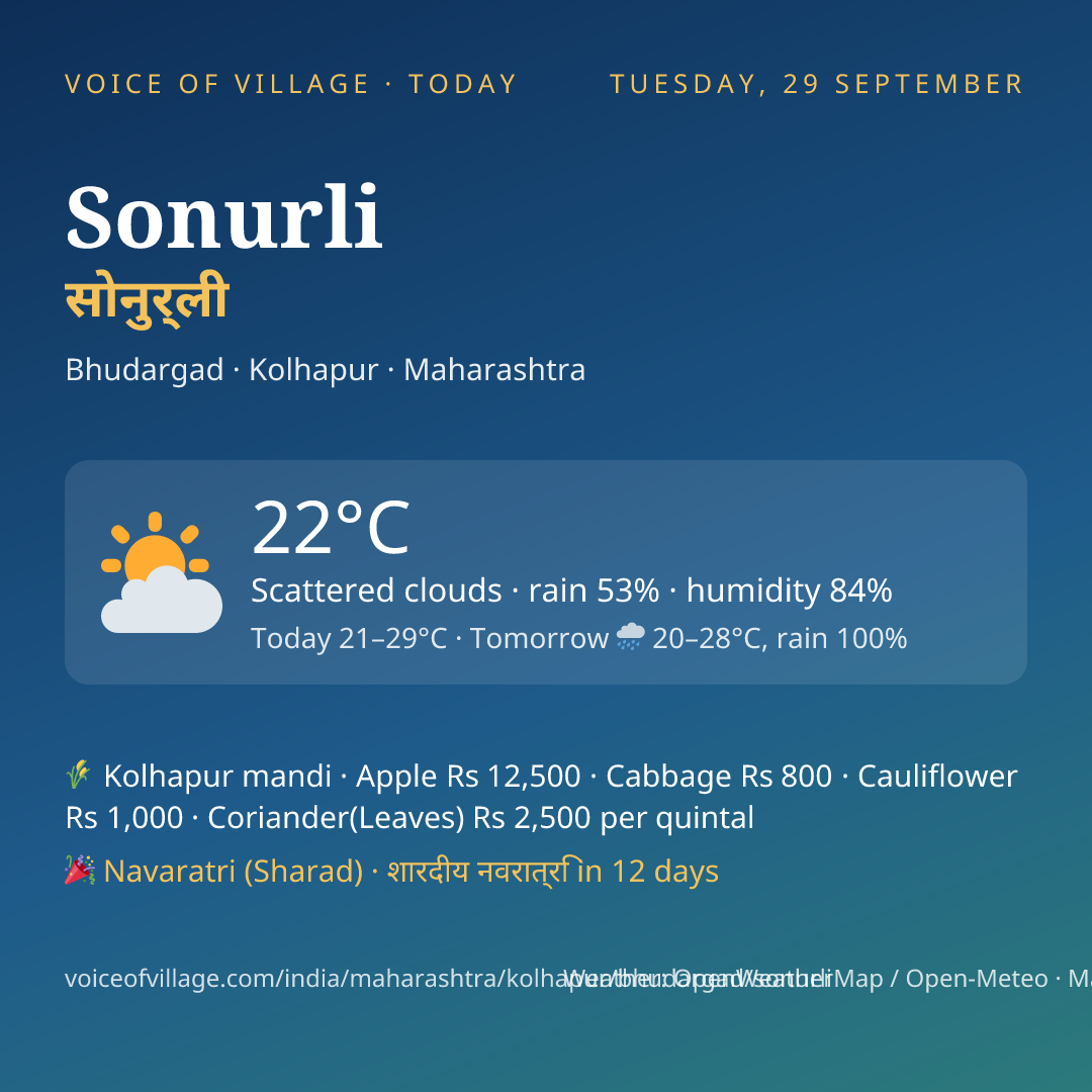 Sonurli today