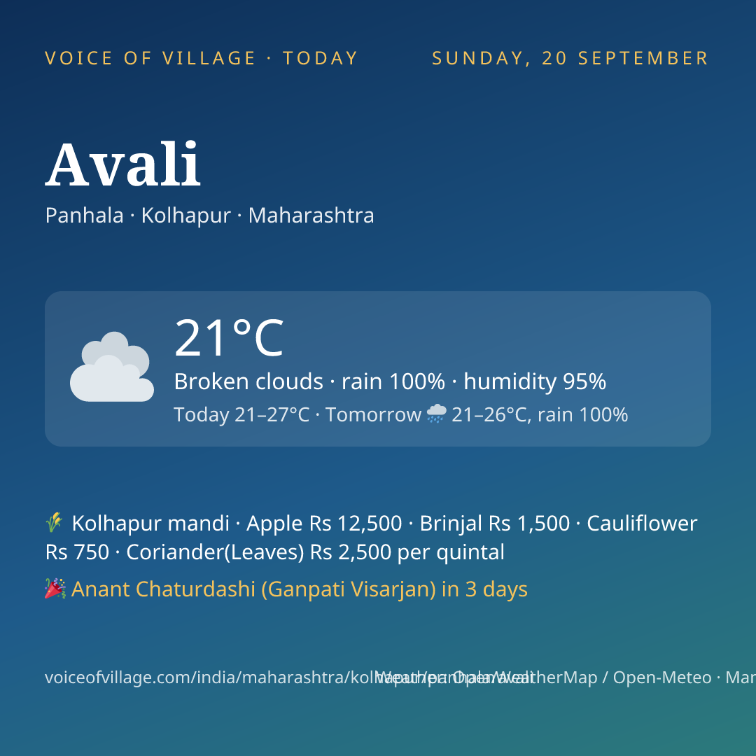 Avali today
