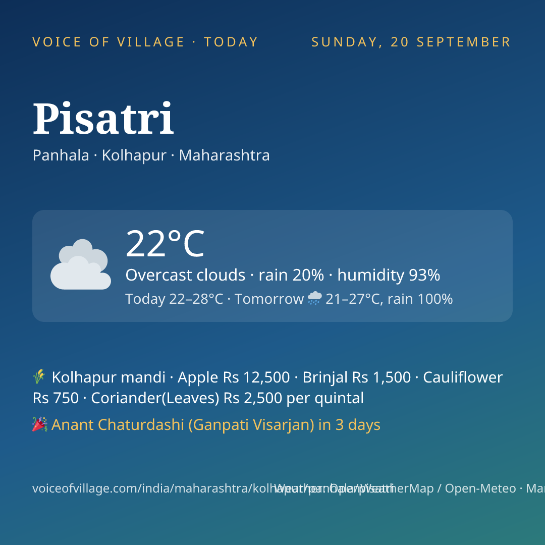 Pisatri today