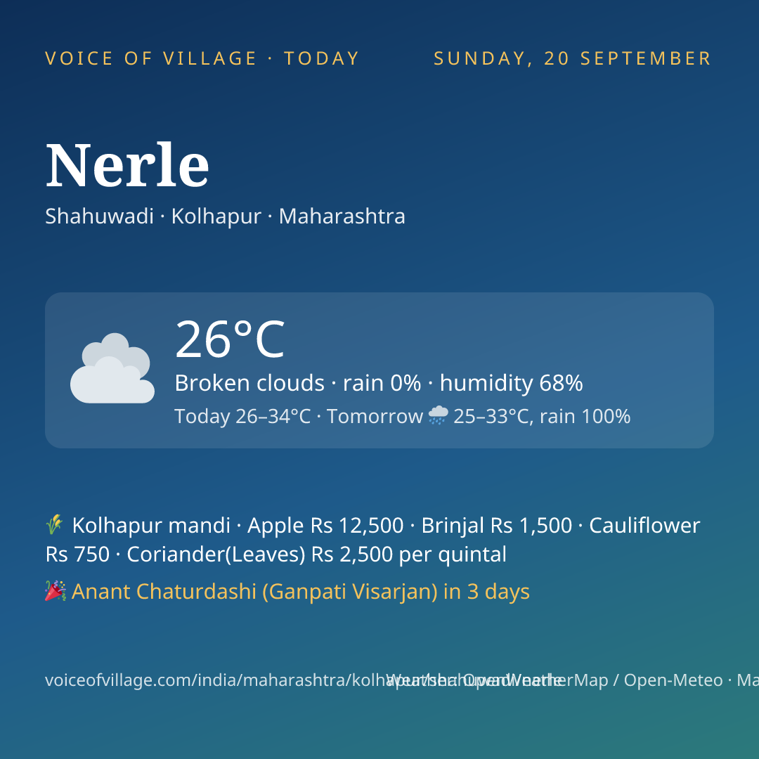 Nerle today