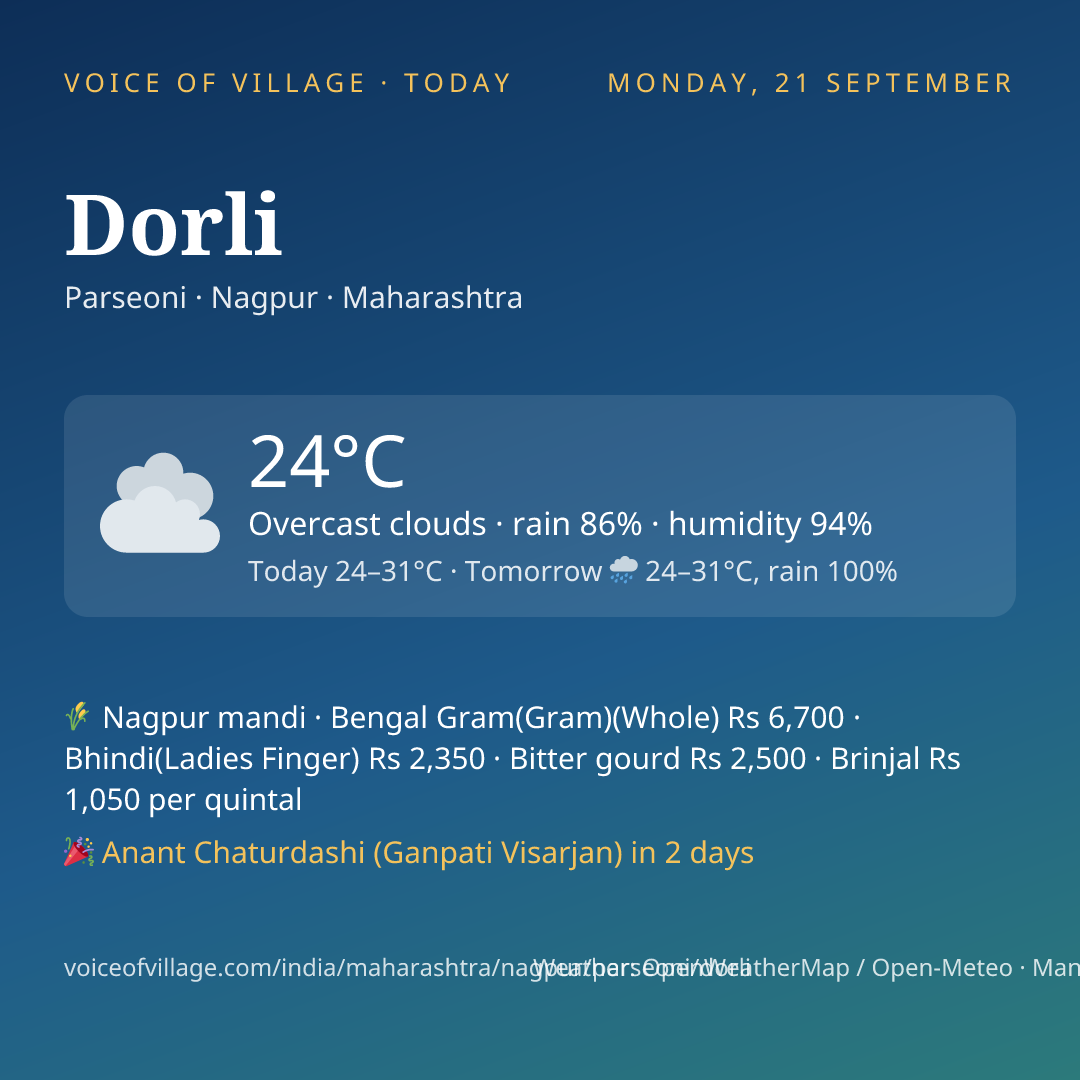 Dorli today