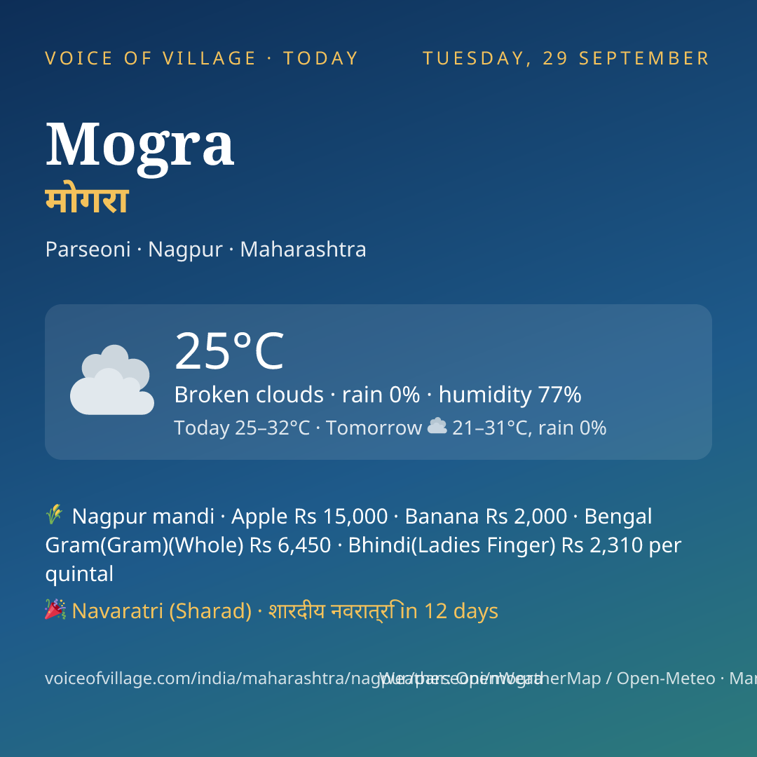 Mogra today