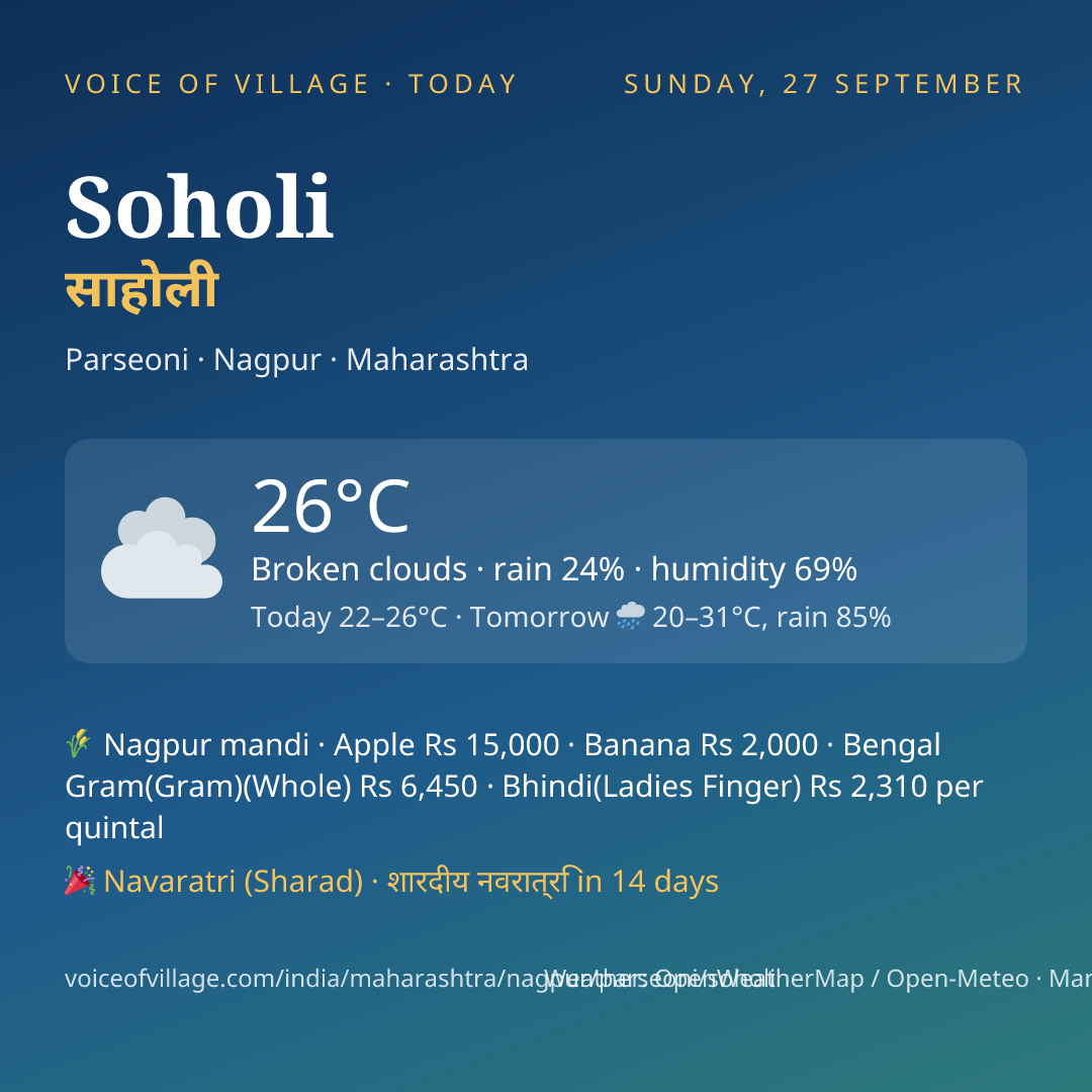 Soholi today