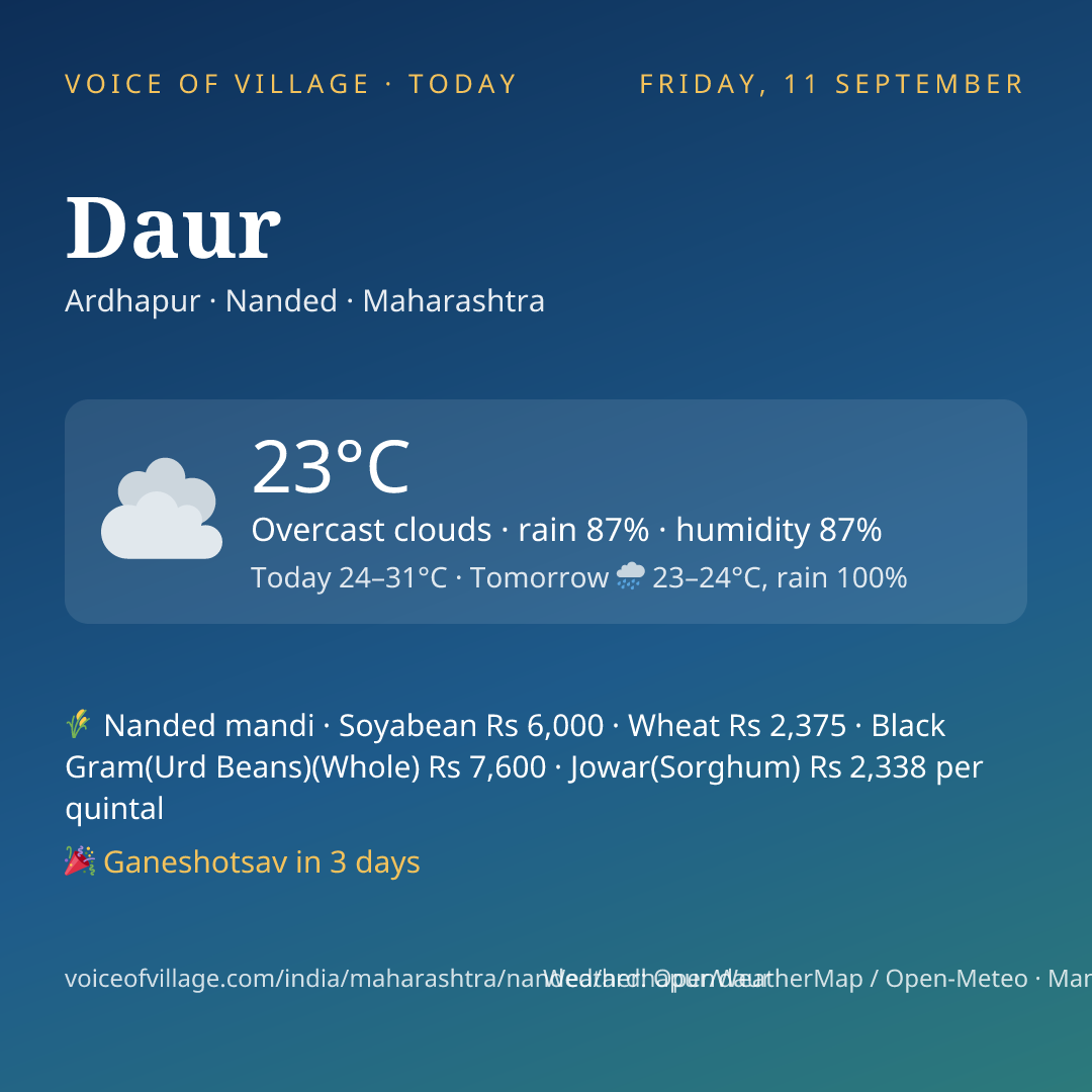 Daur today