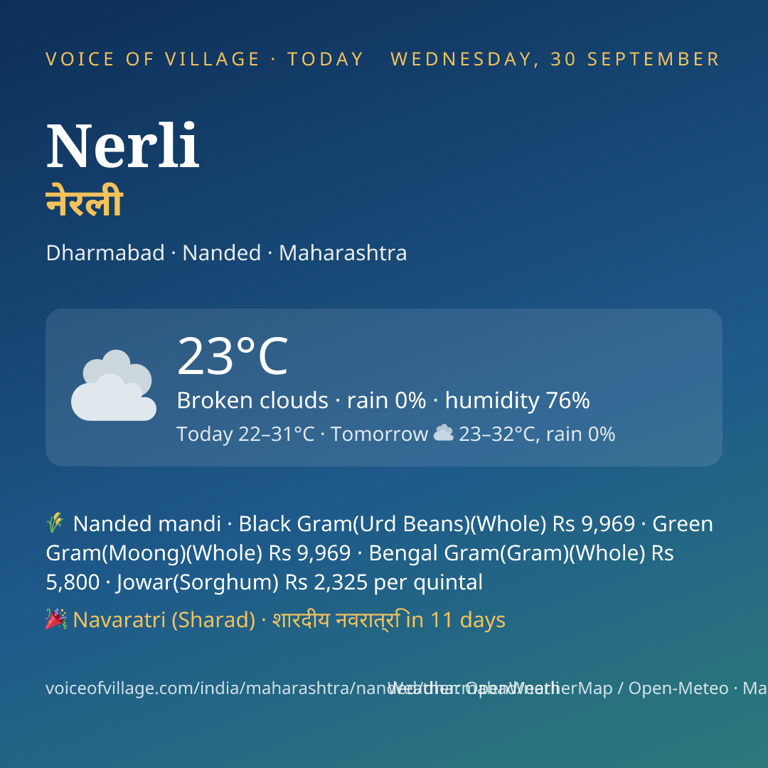 Nerli today