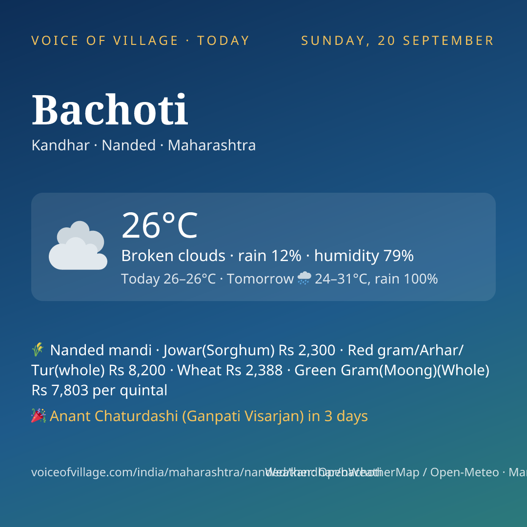 Bachoti today